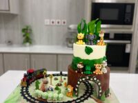 Premium Train Cake